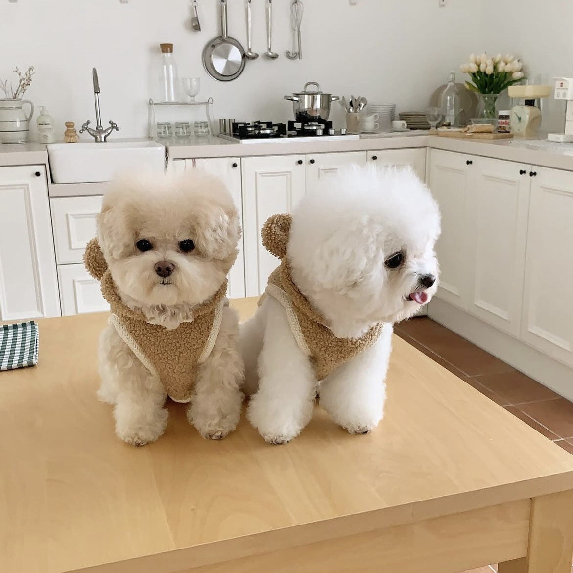 Warm pet clothing, capes, shawls, all and medium-sized dogs, dogs, cats, teddy dogs, thickened for autumn and winter