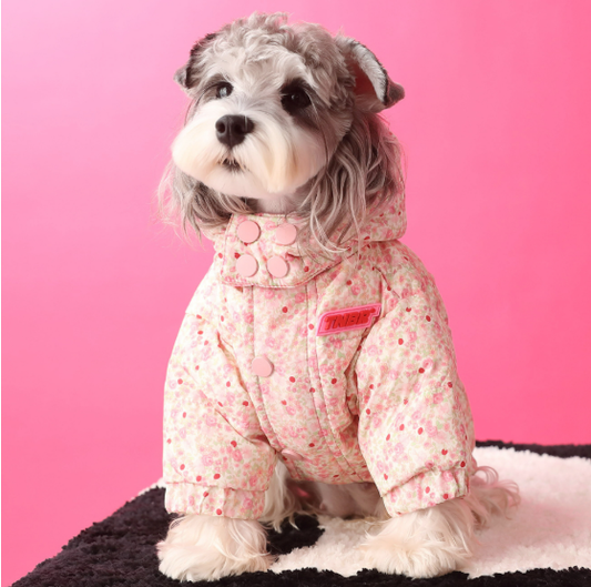 Pet autumn and winter white duck down jacket, Maltese Teddy, Schnauzer dog and cat cute and warm down jacket