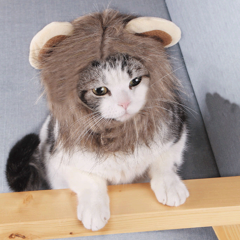 Cat lion head set pet head set pet cat dog wig lion head set pet dog hat