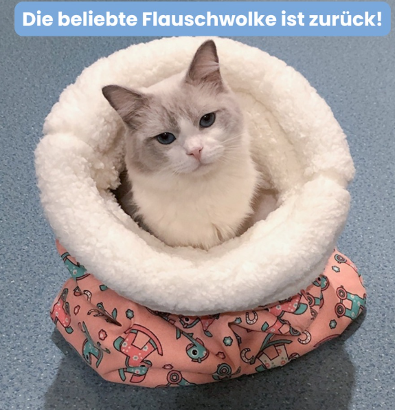 VelvetNest Cat & Small Dog Sleeping Bag