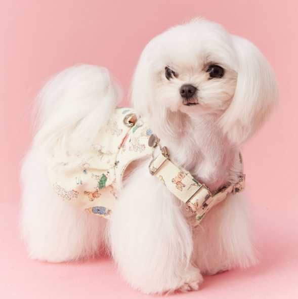 Spring and summer dog clothes, carrier skirts, pet Maltese, Schnauzer, York, Summer Terrier, Teddy Bear, Pomeranian, Shiba Inu, cat