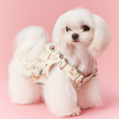 Spring and summer dog clothes, carrier skirts, pet Maltese, Schnauzer, York, Summer Terrier, Teddy Bear, Pomeranian, Shiba Inu, cat