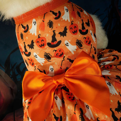 Pet clothes, Halloween clothes, pumpkin, bat, dog