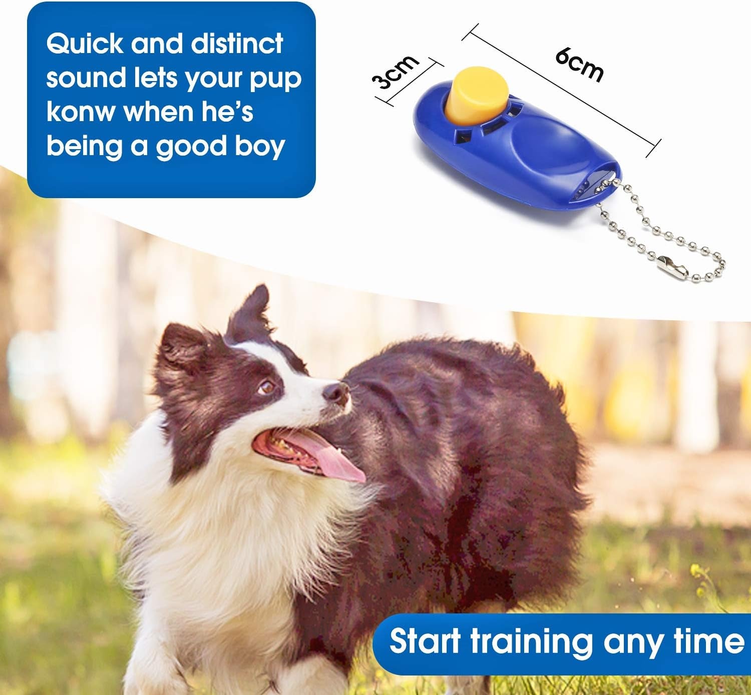 15/20/30/50/100 Ft Long Dog Training Leash with Clickers for Small, Medium and Large Dogs or Cats (30 Feet, Blue)