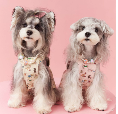Spring and summer dog clothes, carrier skirts, pet Maltese, Schnauzer, York, Summer Terrier, Teddy Bear, Pomeranian, Shiba Inu, cat