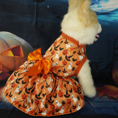 Pet clothes, Halloween clothes, pumpkin, bat, dog