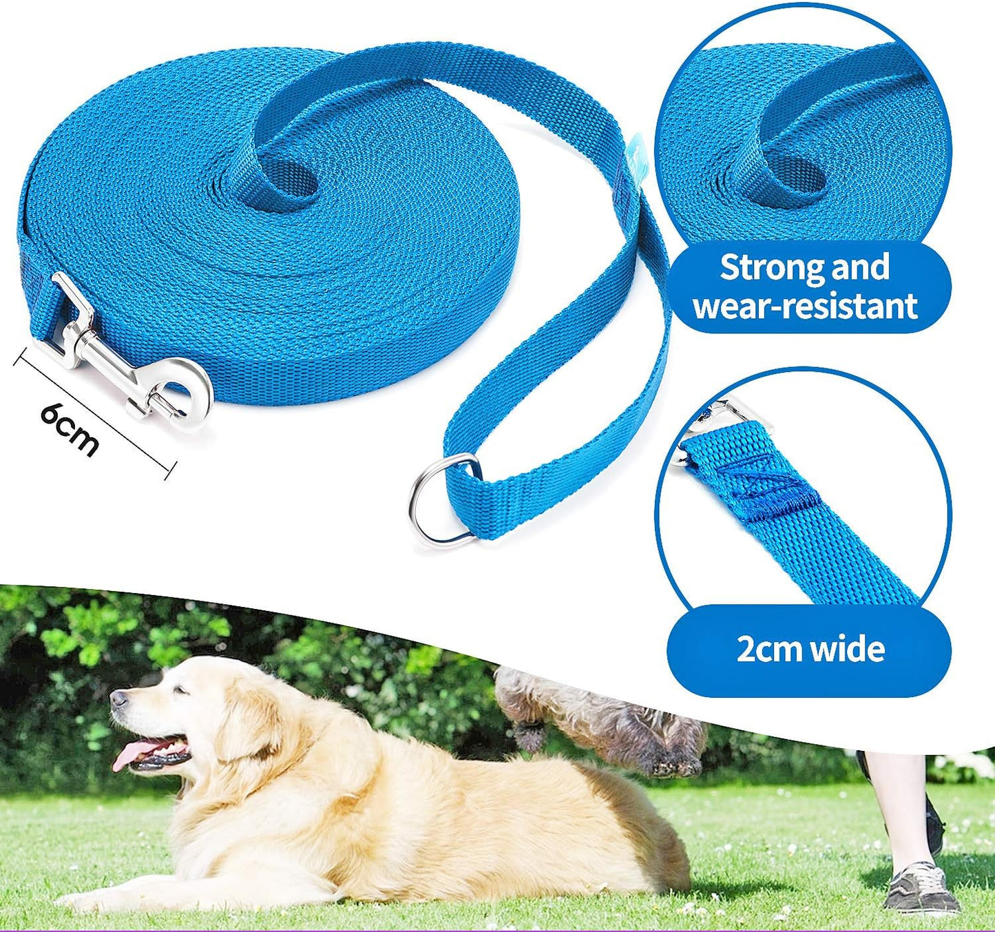 15/20/30/50/100 Ft Long Dog Training Leash with Clickers for Small, Medium and Large Dogs or Cats (30 Feet, Blue)