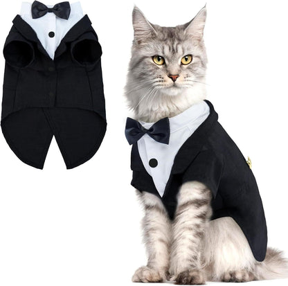 Cat tailcoat costume and bow tie Halloween wedding jumpsuit